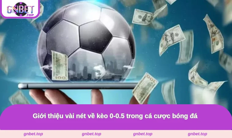 Giới thiệu vài nét về kèo 0-0.5 trong cá cược bóng đá 