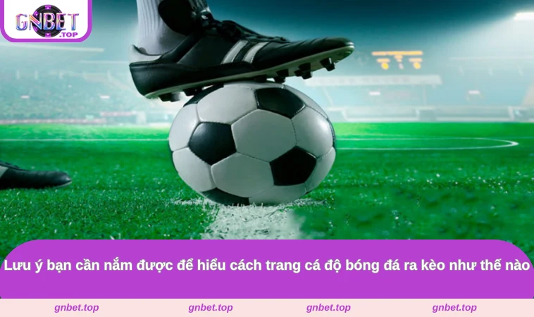 Lưu ý bạn cần nắm được để hiểu cách trang cá độ bóng đá ra kèo như thế nào
